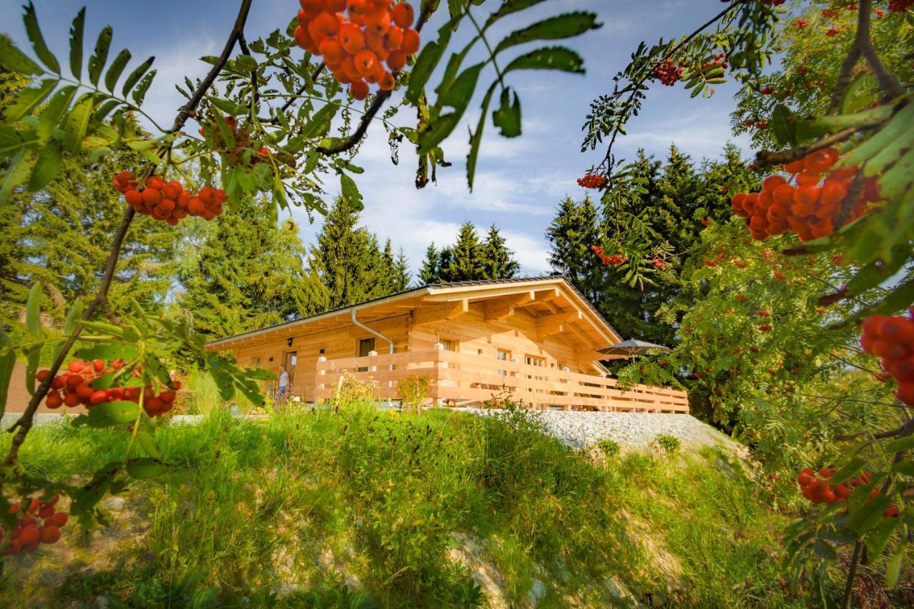 Das Wistlberg Wohlfuehlchalet ماوث المظهر الخارجي الصورة